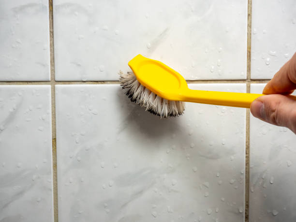Willow Street, PA Mold Removal Company
